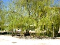 /album/tuzlukcululardernegi/a1270796685-jpg/